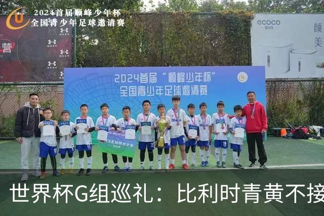 世界杯G组巡礼：比利时青黄不接 伊朗赴美参赛风波不断
