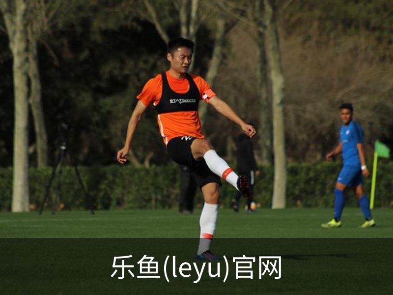 乐鱼(leyu)官网介绍